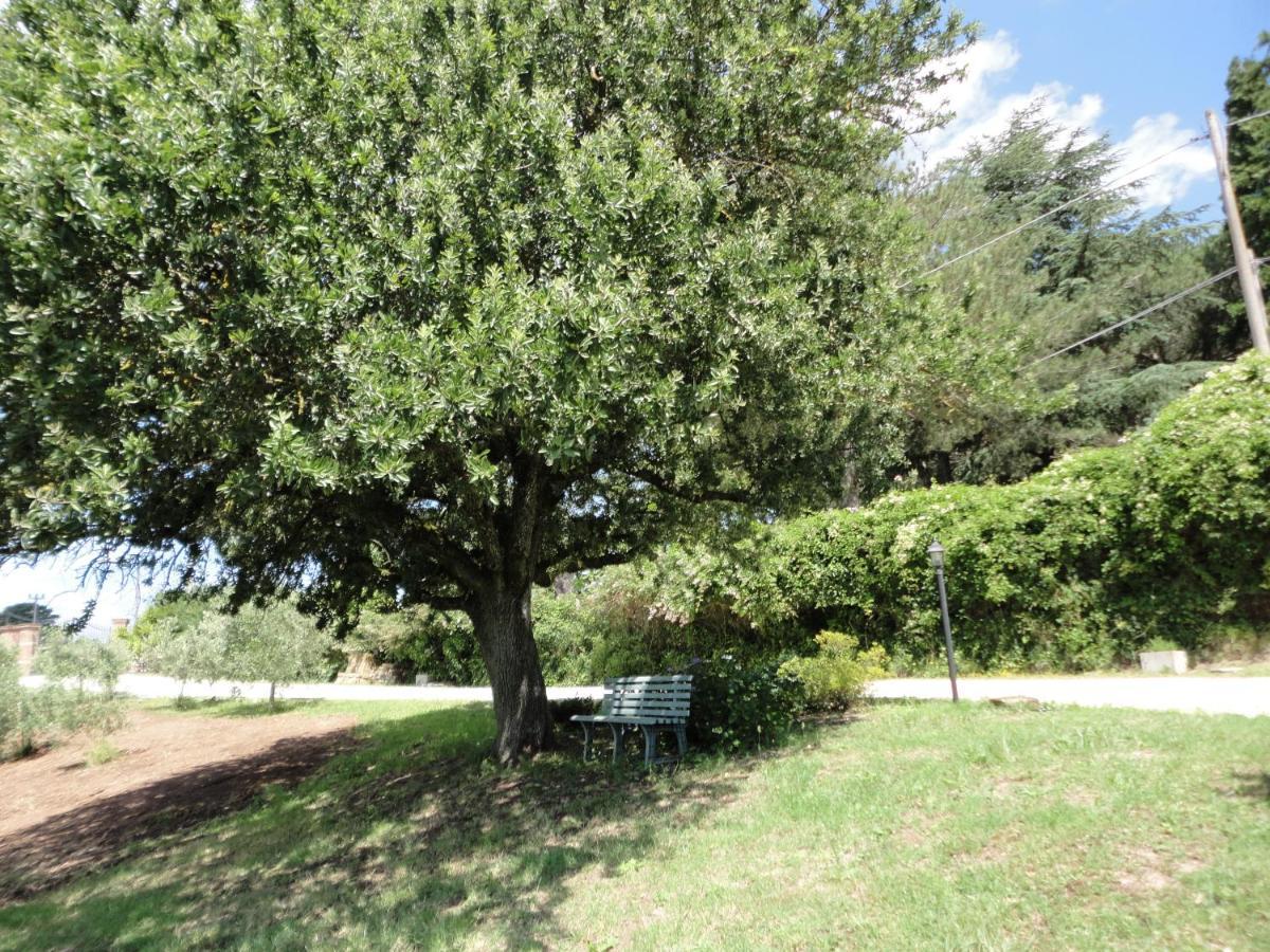 Grazioso Appartamento In Villa Bracciano  Buitenkant foto